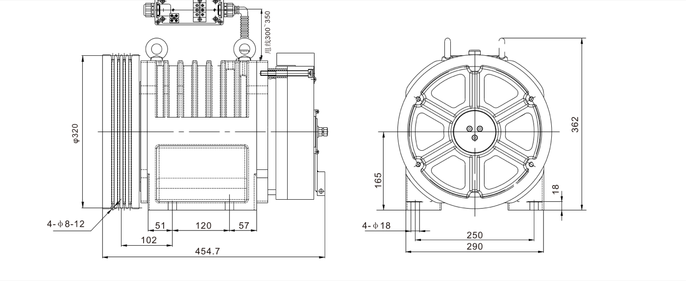 WTD2-P400-100D outline drawing — front and side views with dimensions